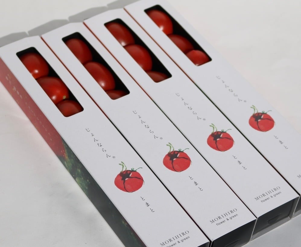 母の日　早期割　2026　カーネーション（5号鉢）と「じょんならんトマト スティックボックス」のセット　プレゼント　ギフト