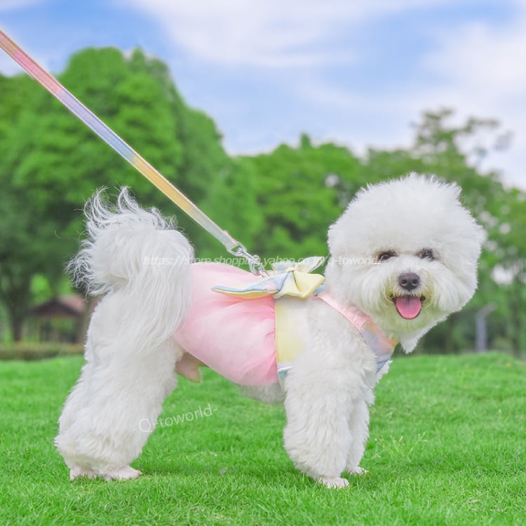 猫 犬 小型犬 ペット 散歩 リード付き ハーネス Lサイズ ピンク