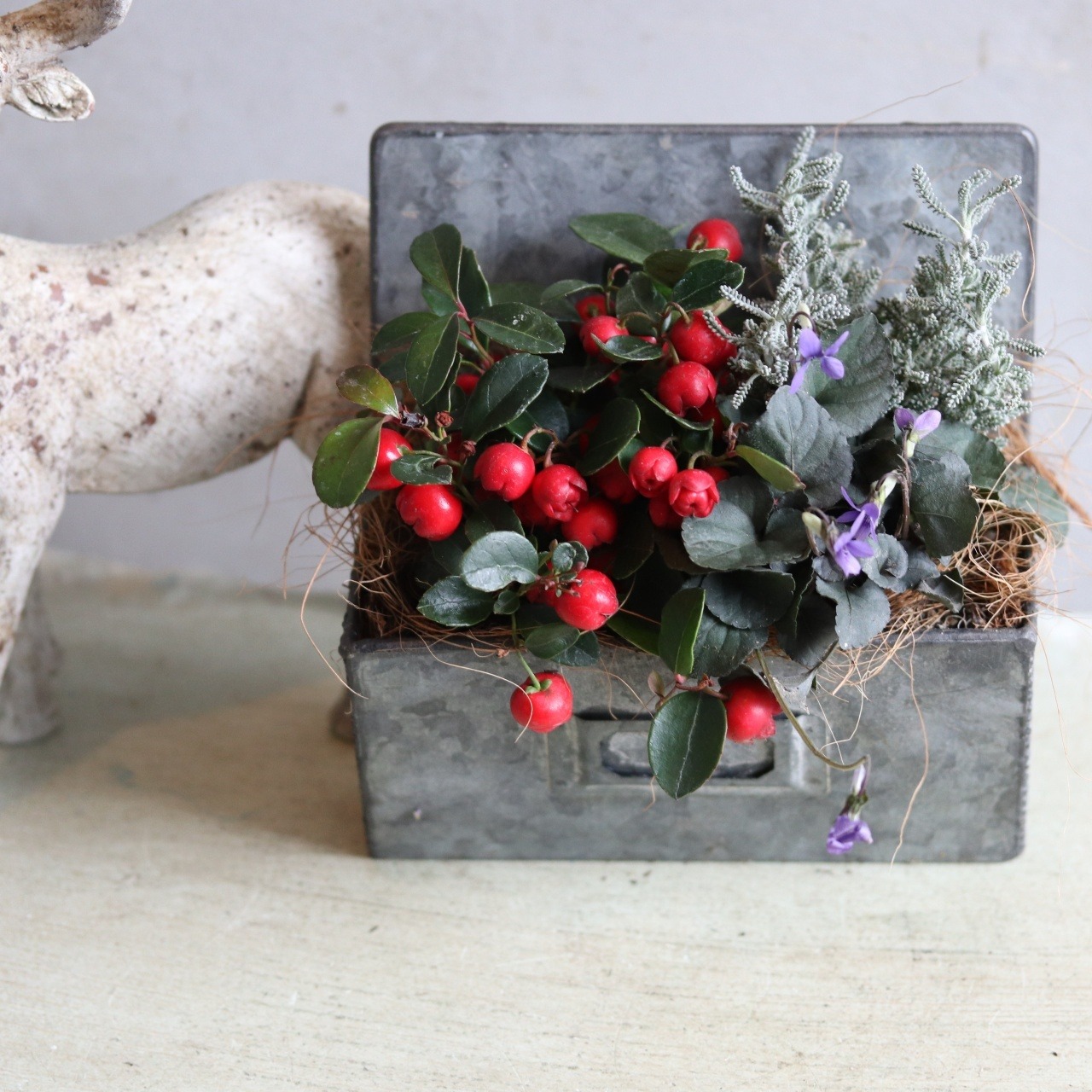 冬から春に楽しむ寄せ植え　チェッカーベリーハングポット　届いてすぐ玄関に飾れる 　プレゼントにもオススメ　