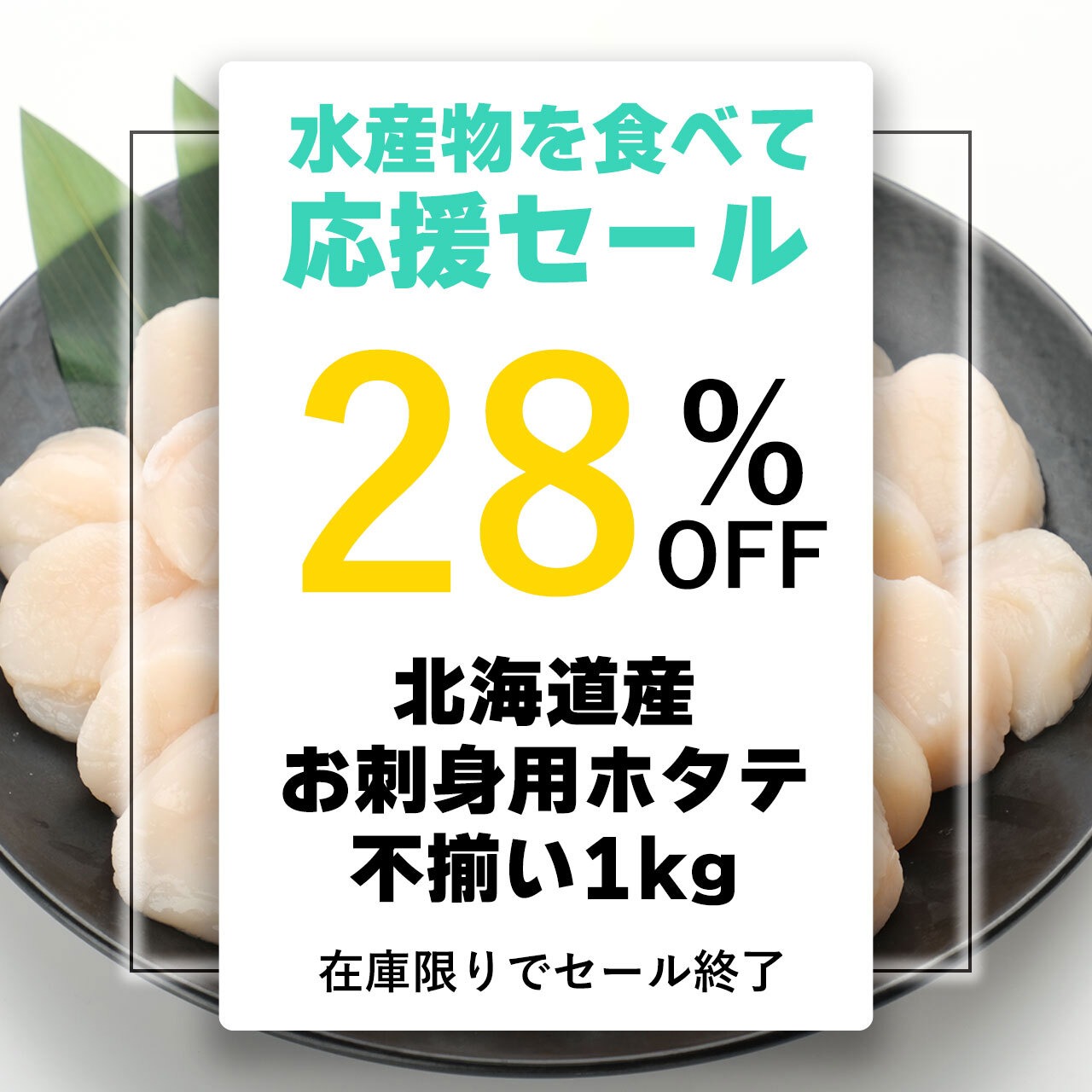 北海道産お刺身用ホタテ貝柱1kg（不揃い）