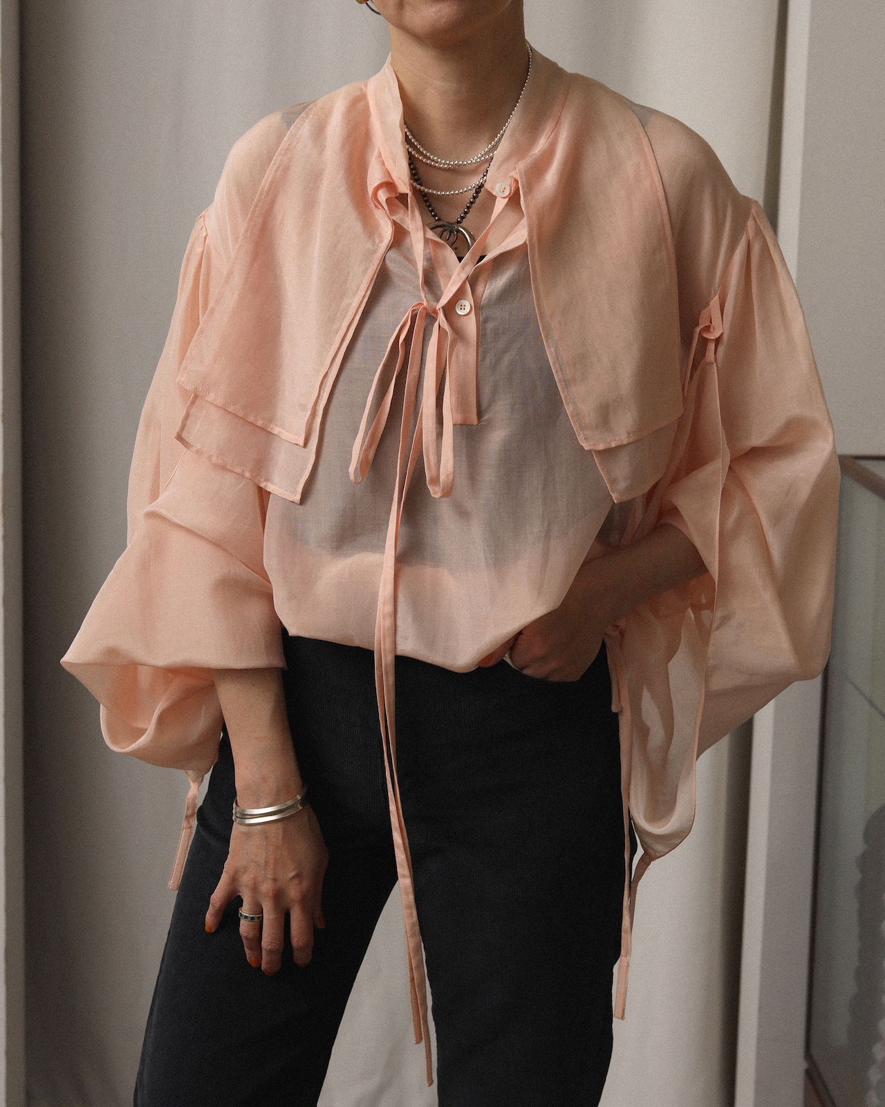 Lanvin / Sheer Blouse