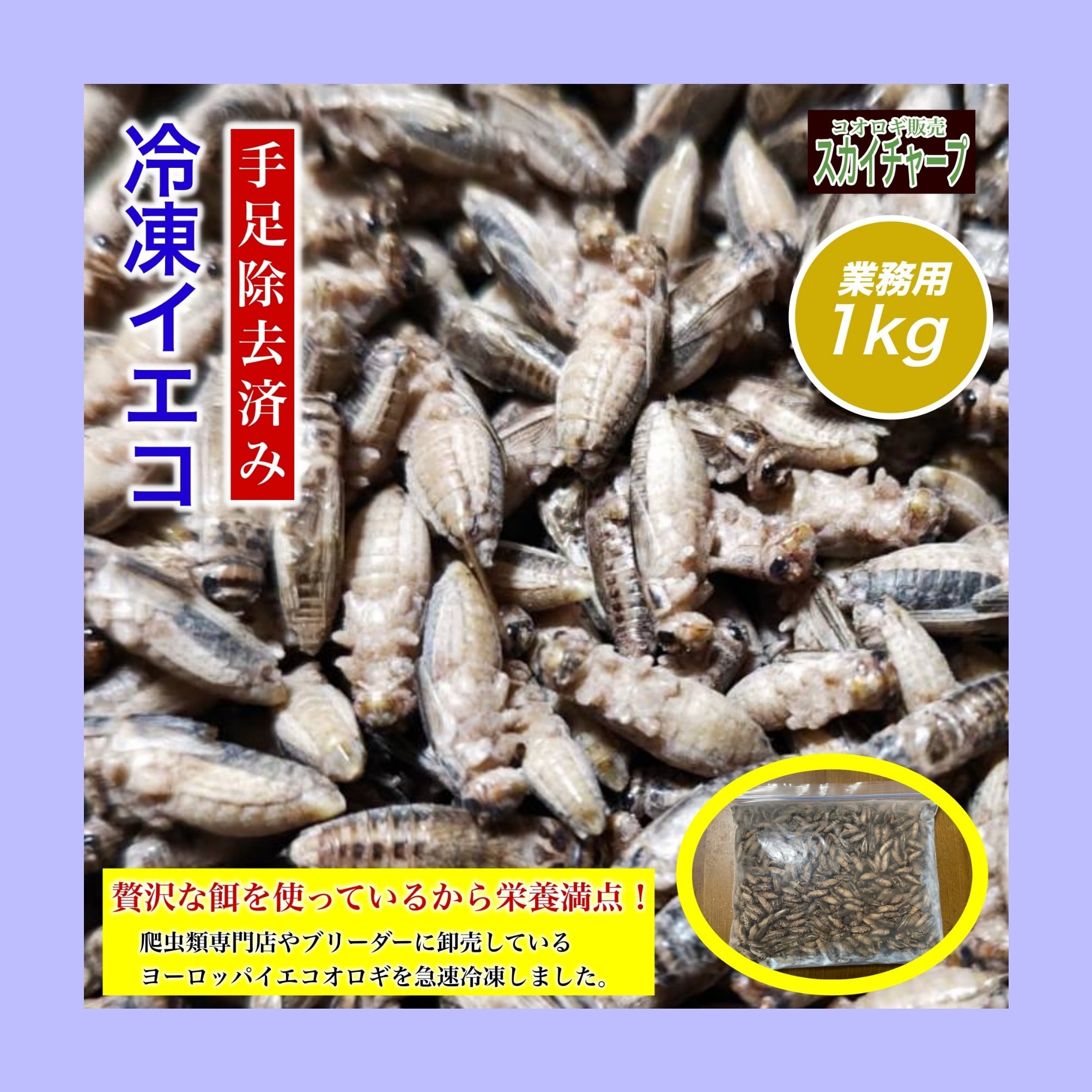 冷凍イエコML約3000匹1kg冷凍コオロギ 【公式通販】