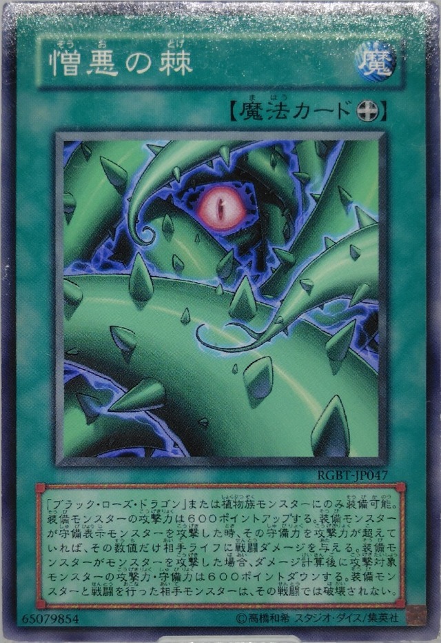 憎悪の棘【RGBT-JP047】[N]