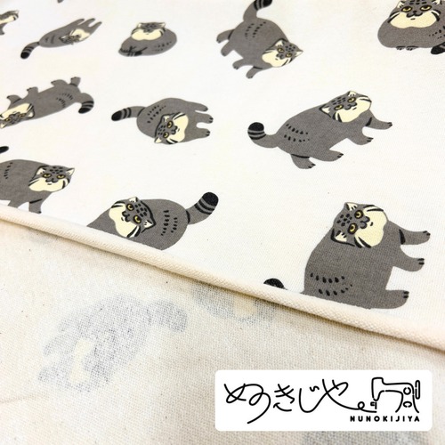【ぬのきじや】"マヌルネコ" (綿100% 40/20ミニ裏毛)