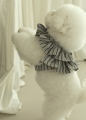 [即納] OHDIBS capeness no.10