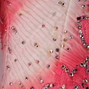 社交ダンス 衣装スタンダードドレス ワンピース ドレス スタンダード ファー プリーツ レース デモ 競技 ダンス パーティ 発表会 ピンク ピンク系 ゴージャス スカート ボリューム ショーウェア ダンスコスチューム フェミニン 競技用ドレス 上品 エレガント