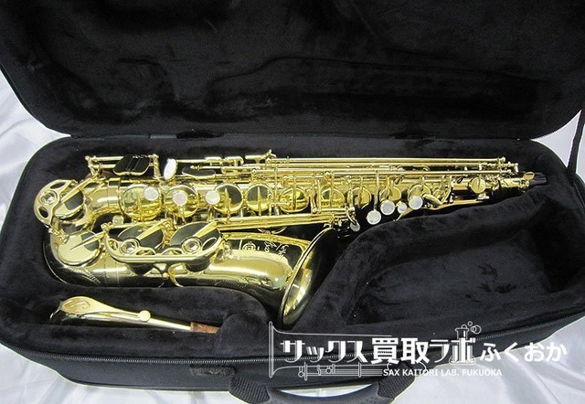 Kaernter アルトサックス 初心者用 管楽器 ハードケース付属 