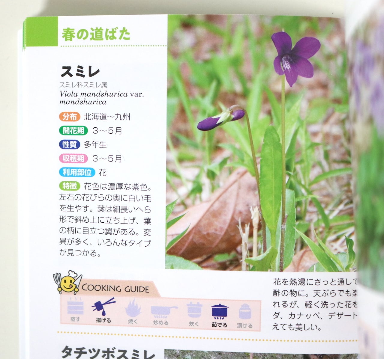 食べられる草ハンドブック｜森 昭彦 | はるな商店 ｜世界をつくるお