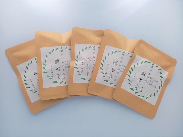 【新茶】　煎茶 息吹／ティーバッグ2個入×5個セット