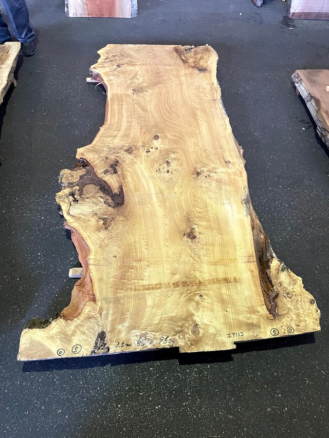 ポプラ_2500×960×85_Web限定_オーダー用原板 T1291