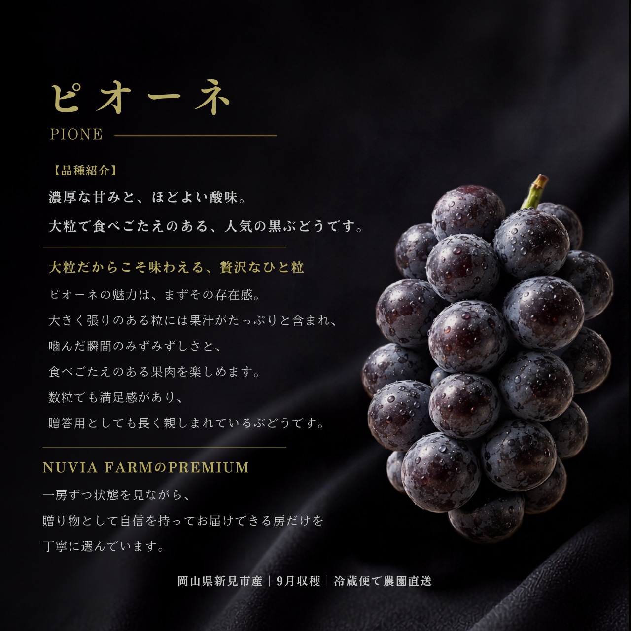 岡山県産ピオーネ｜2kg・3~4房｜PREMIUM・送料込み | ニューピオーネ