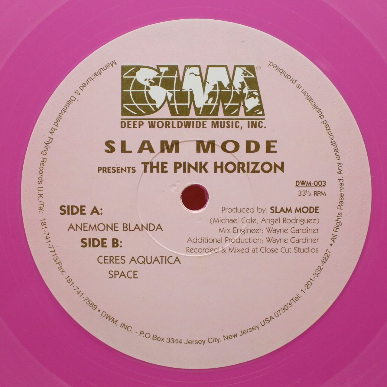 Slam Mode / The Pink Horizon [DWM-003] - 画像2