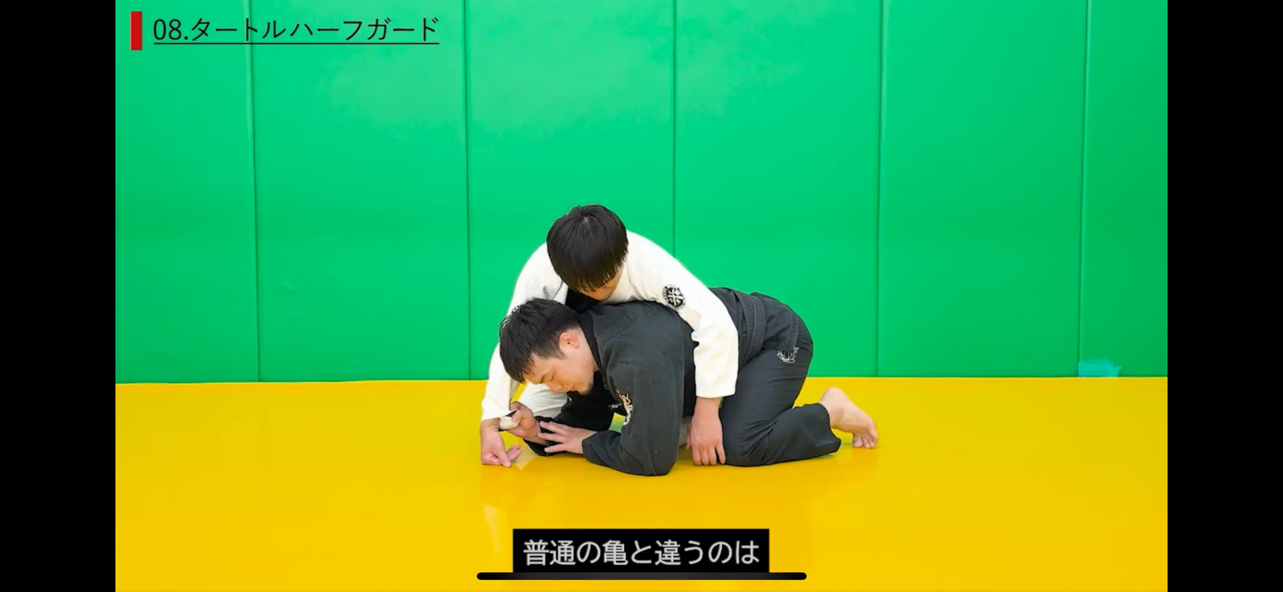 オクトパスガード | 世羅の柔術ストア（仮）