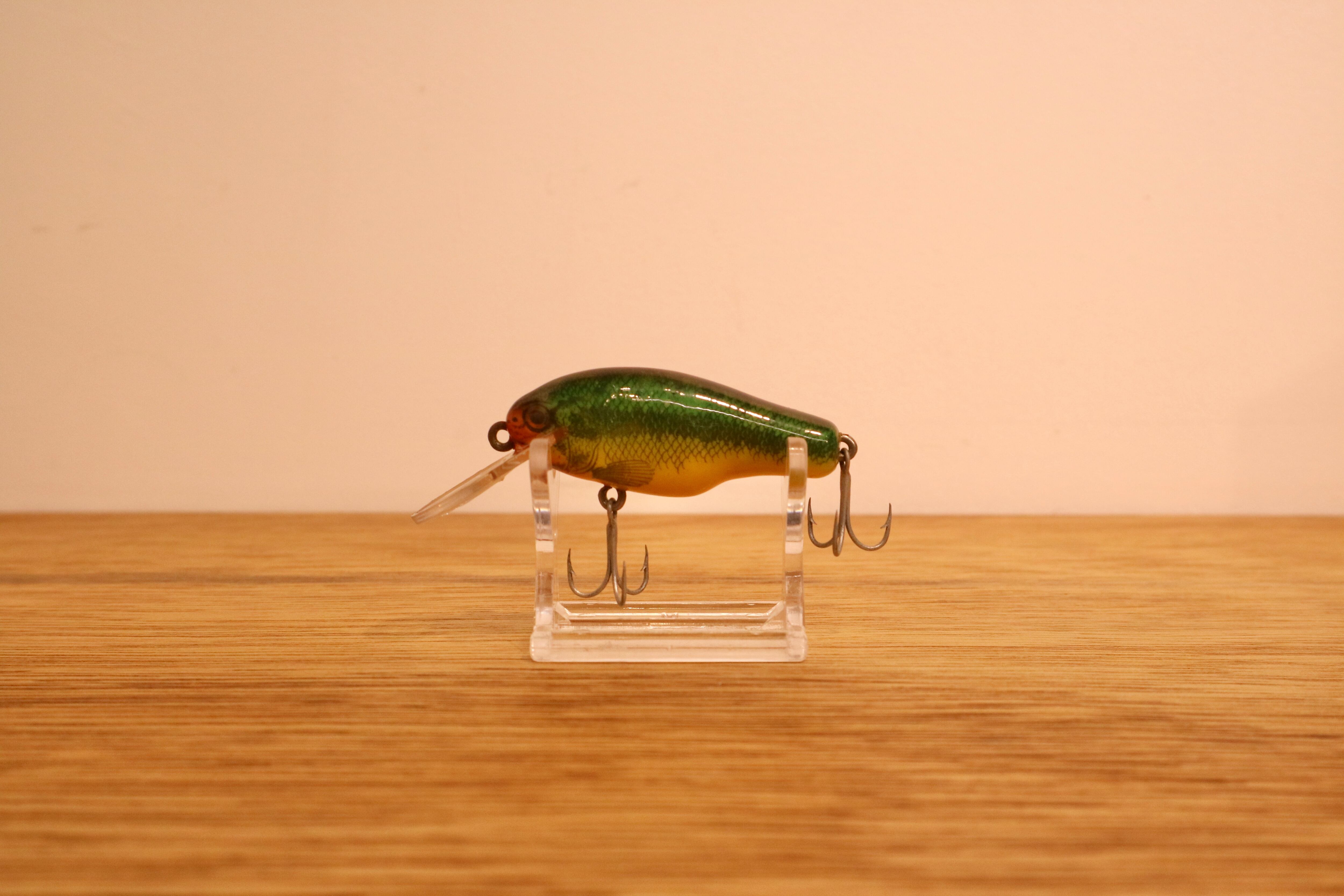 CORMORAN (コーモラン) / サーフバス