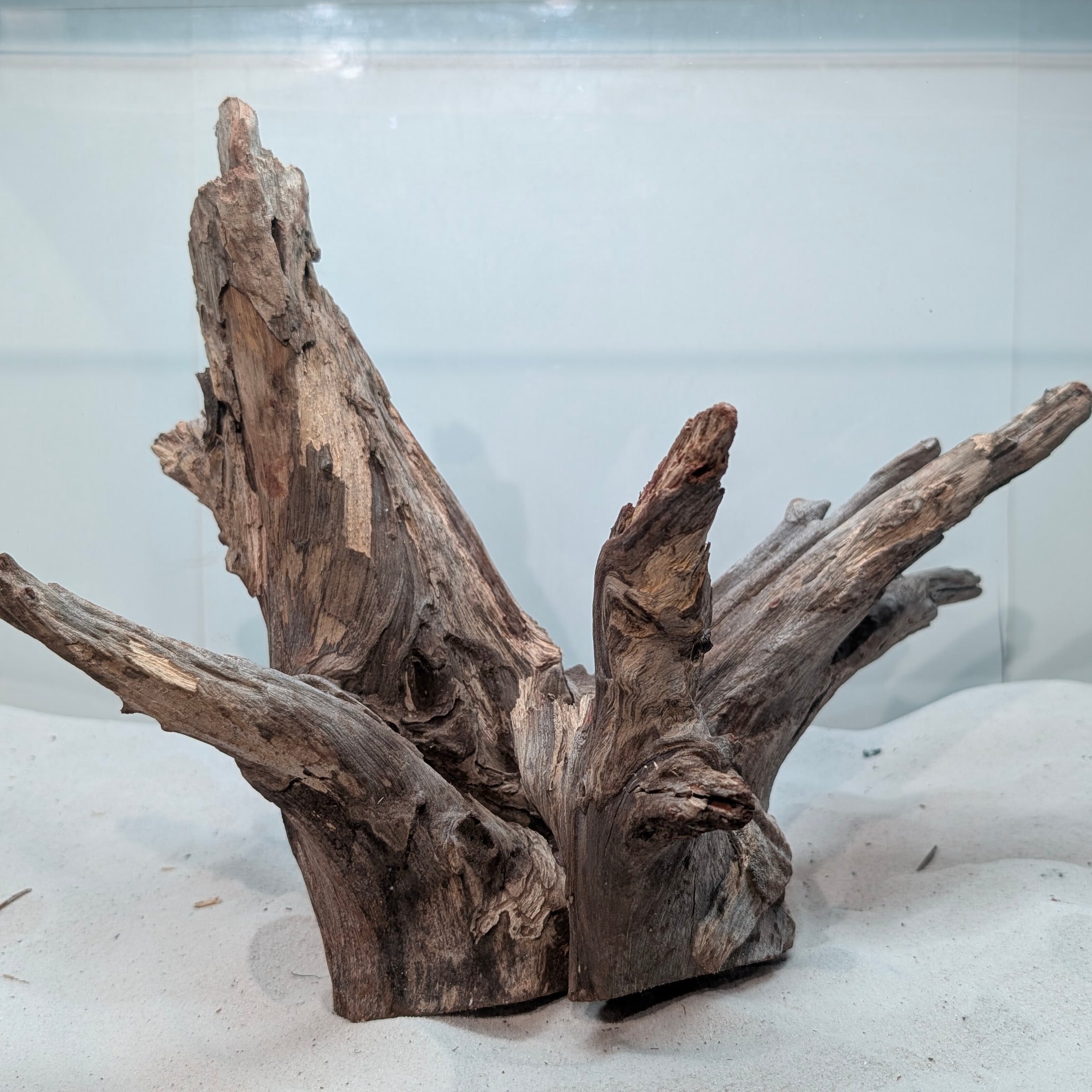 ペットの流木 水宗工房