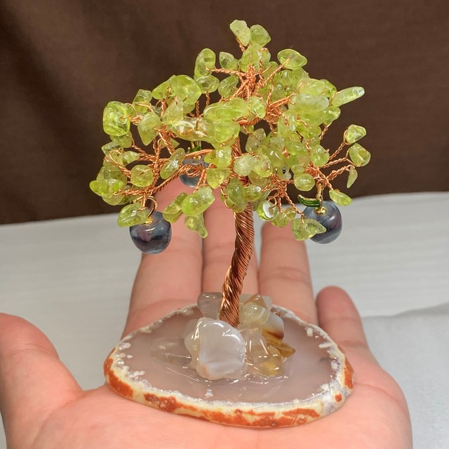 りんごがなる招財樹・ペリドット