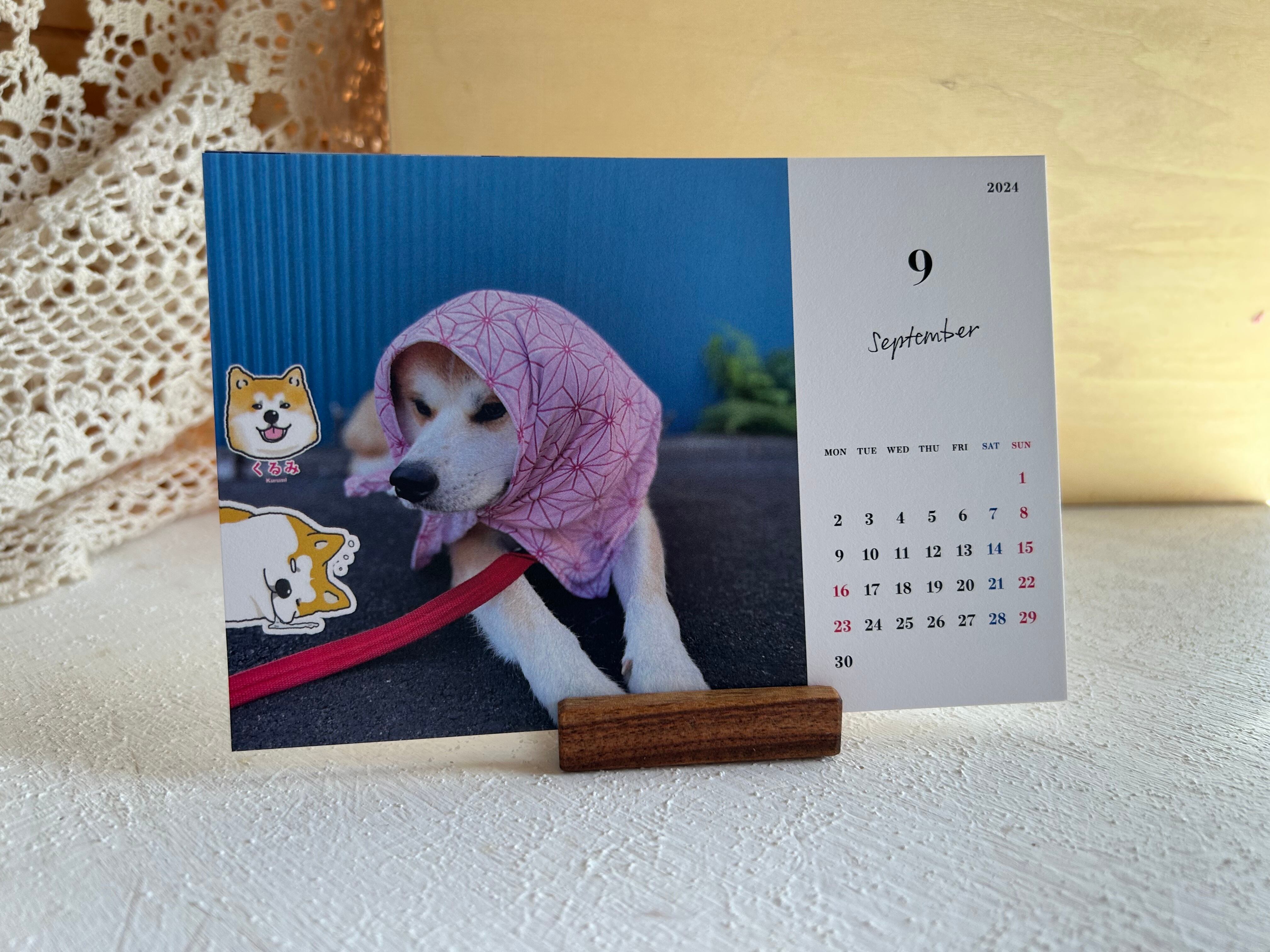 卓上2024カレンダー｜まいにちあきたちゃん｜秋田犬|AKJ55｜犬｜2024|かわいい｜kawaii