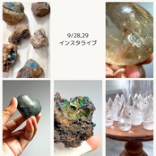 miwaさま専用出品 9/28,29ライブ分 特典クーポン555 6回目分お値引き