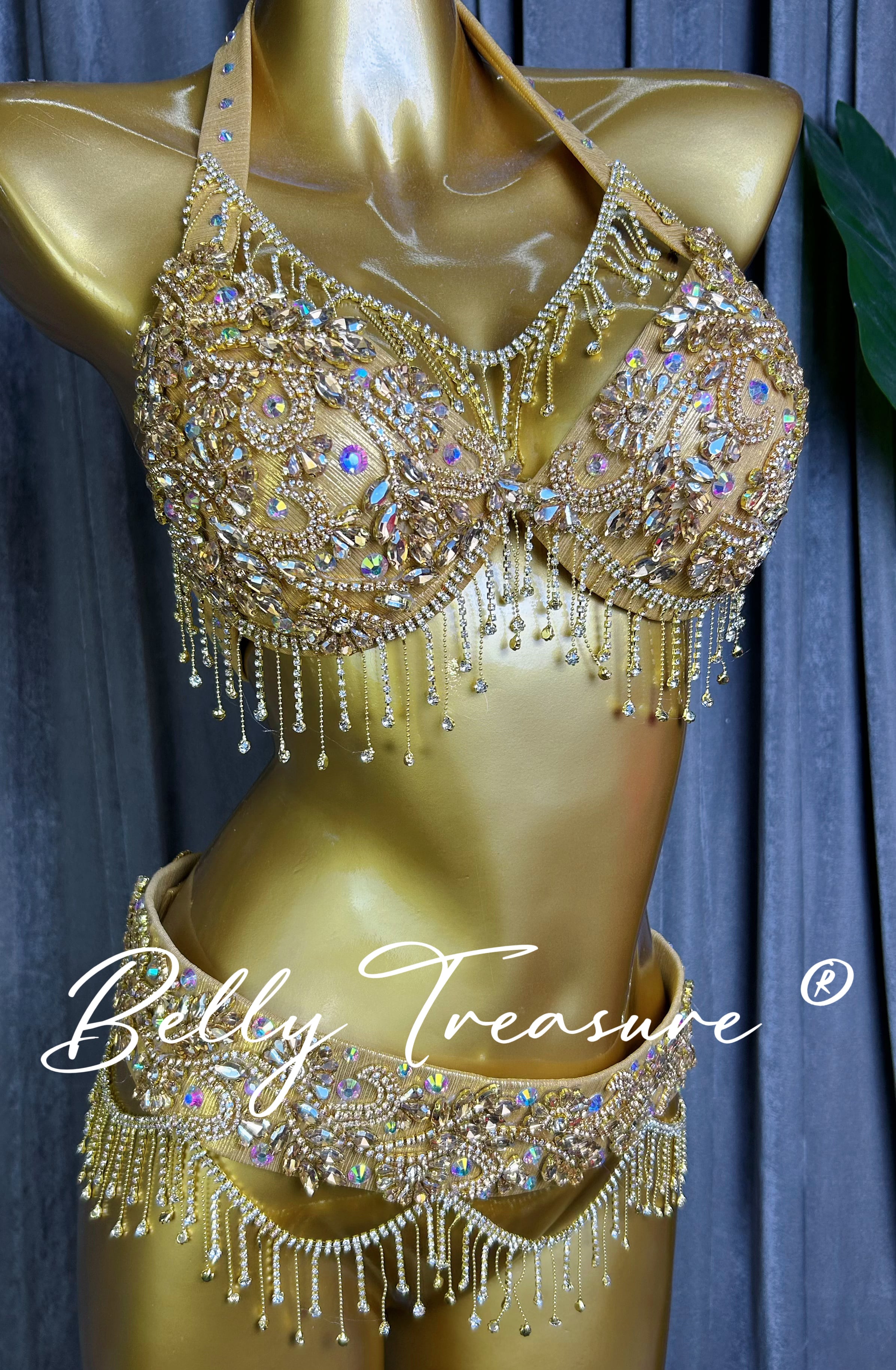 ベリーダンス オーダーメイド衣装 YM 002 202512 | Belly Treasure®︎