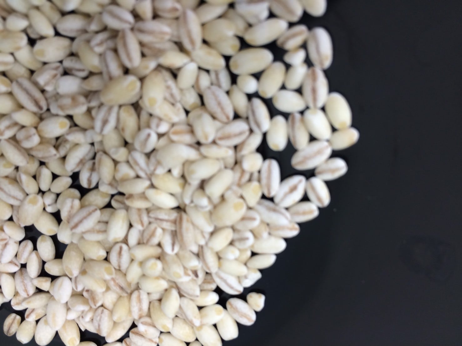 広島育ちのもち麦 250g | お米のカツヤ