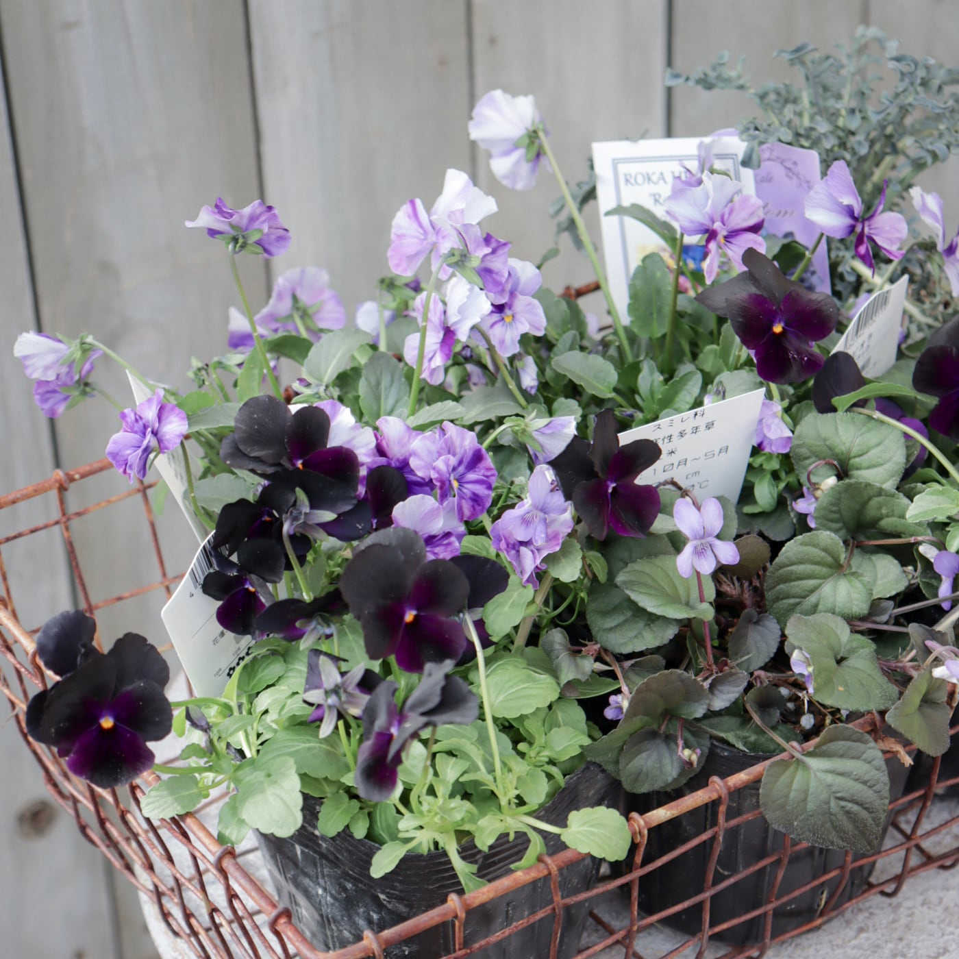 Green heartꕥオンラインショップ