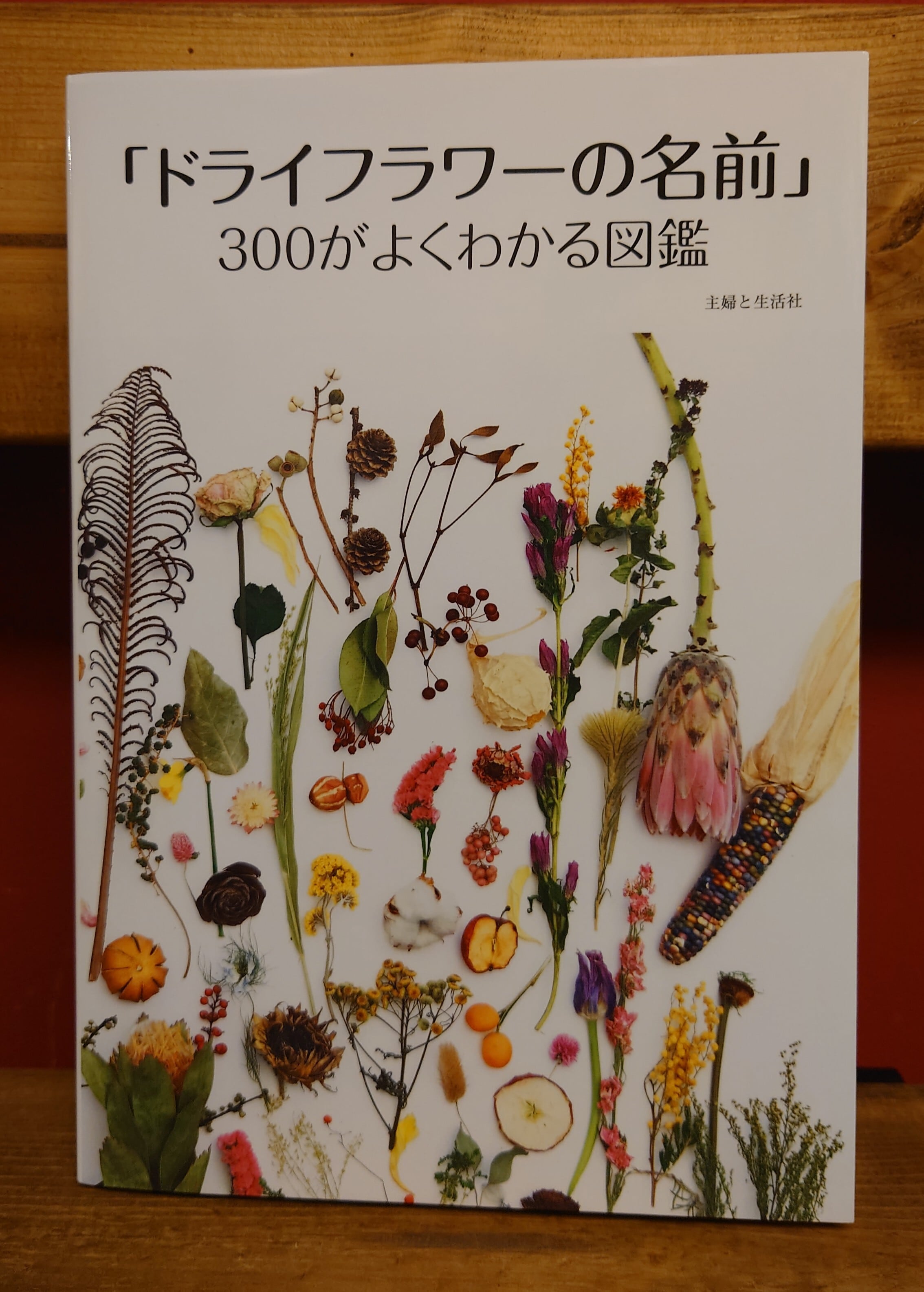 ドライフラワーの名前」300がよくわかる図鑑 | 弥生坂 緑の本棚