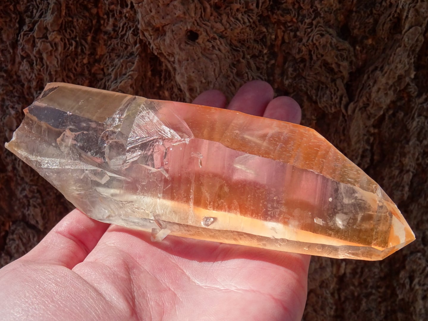 レムリアンシード「グレートサン」~ Master of the Lemurian Sun