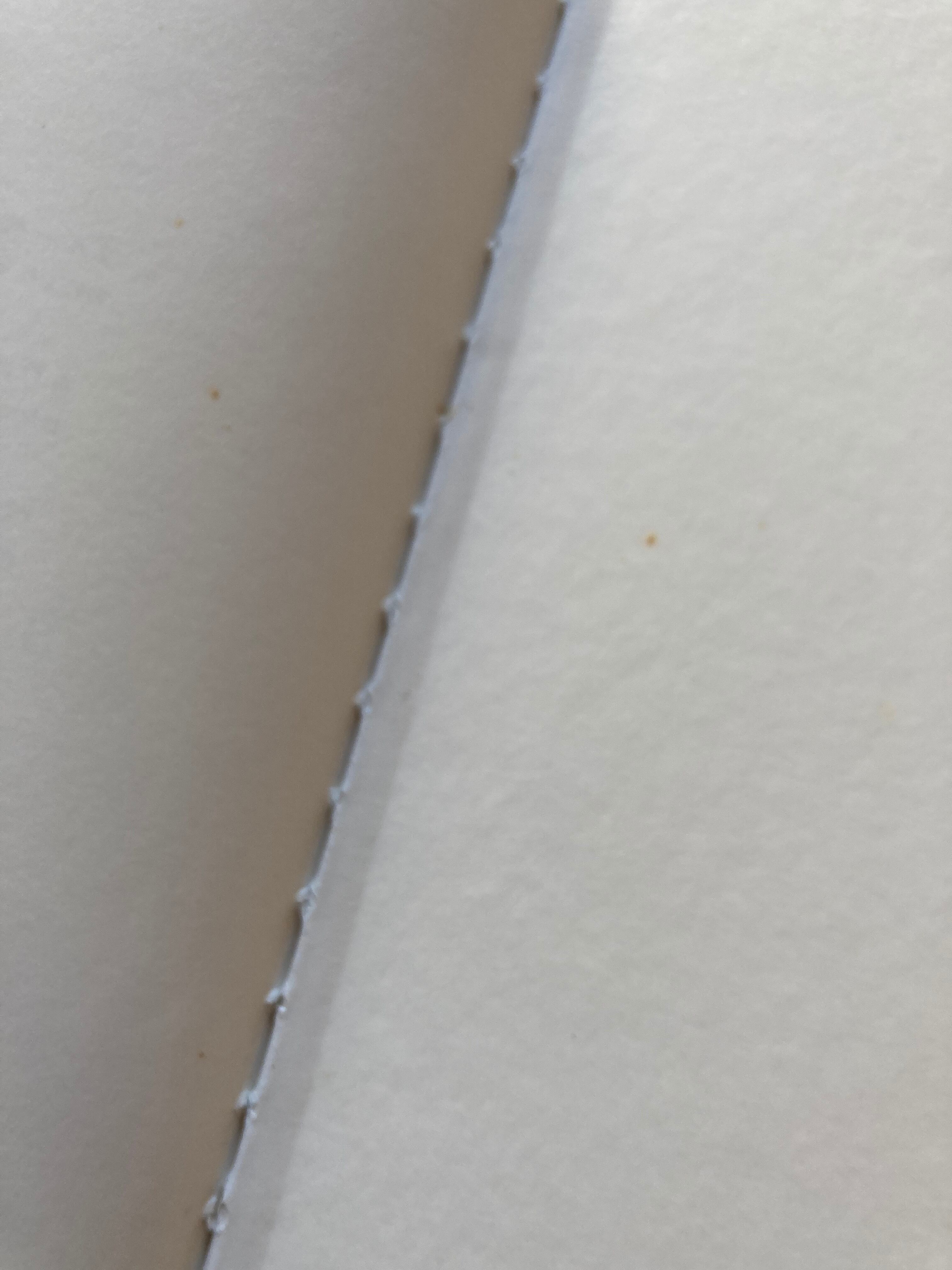 ペッテルとロッタのぼうけん(世界傑作絵本シリーズ)