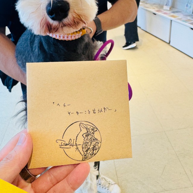 -7×7の世界-第二弾