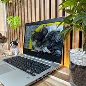 \ 公式ショップ限定価格❣️/ 準美品《ハイスペック》HP EliteBook 735 G6 Ryzen 7 メモリ16GB SSD256GB ノートパソコン 安心サポート&3ヶ月保証付き