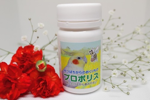 みつばちからのおくりものプロポリス(40g)チョコボB　菜の花畑のチョコボ＆アルビー　