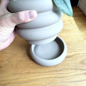 スキンダプサス・ムーンライト