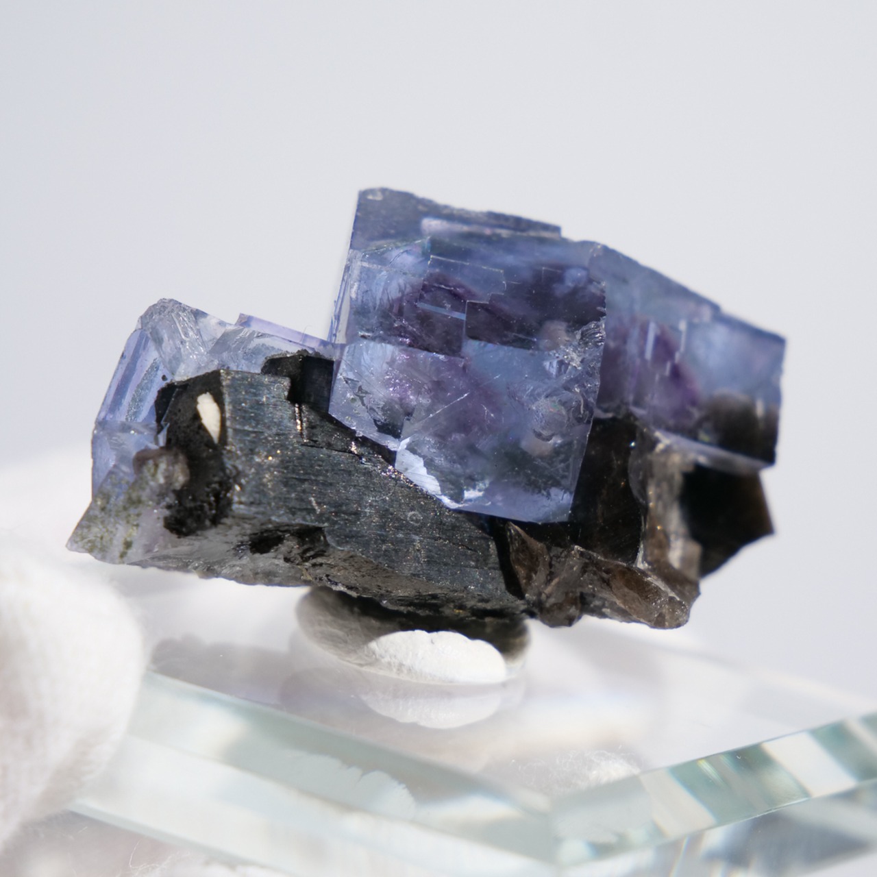 フローライト 共生 中国・ヤオガンシャン産 / 原石 標本【F_2】