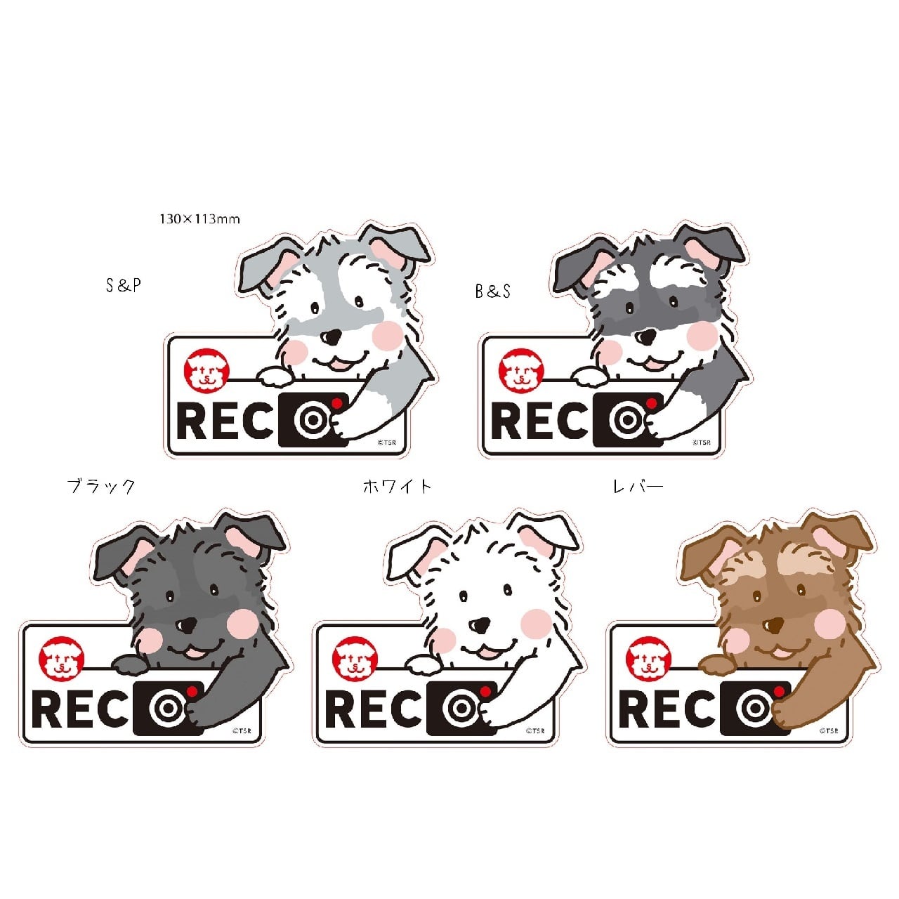 しゅうちゃんDriveRecorderステッカー | チームシュナウザーレスキュー