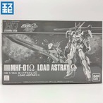 HG 1/144 ロードアストレイΩ
