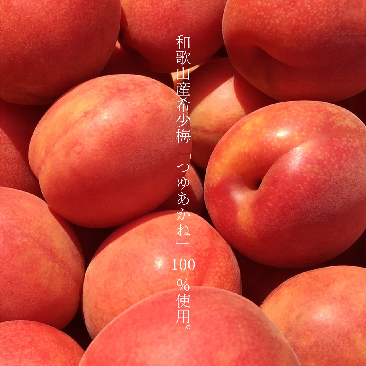 MIYAYOSHI No.19 Large bottle