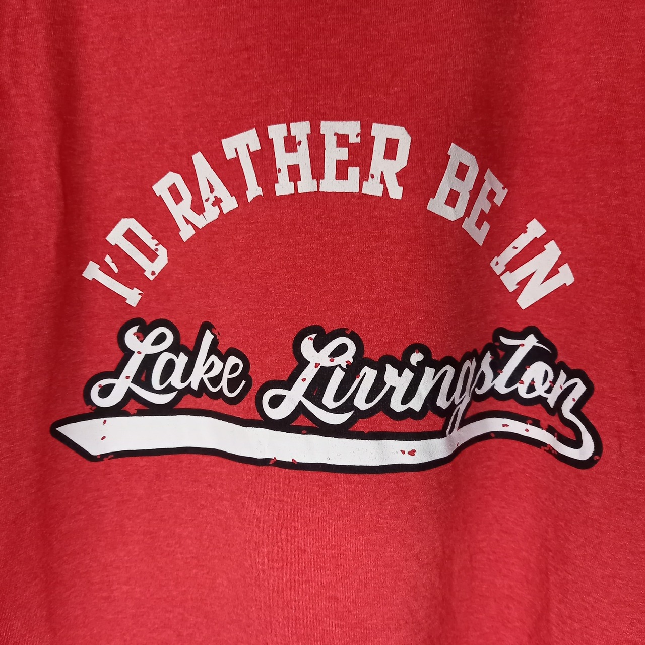 フルーツオブザルーム　プリントT　カレッジ　オーバーサイズ　くすみレッド　2XL