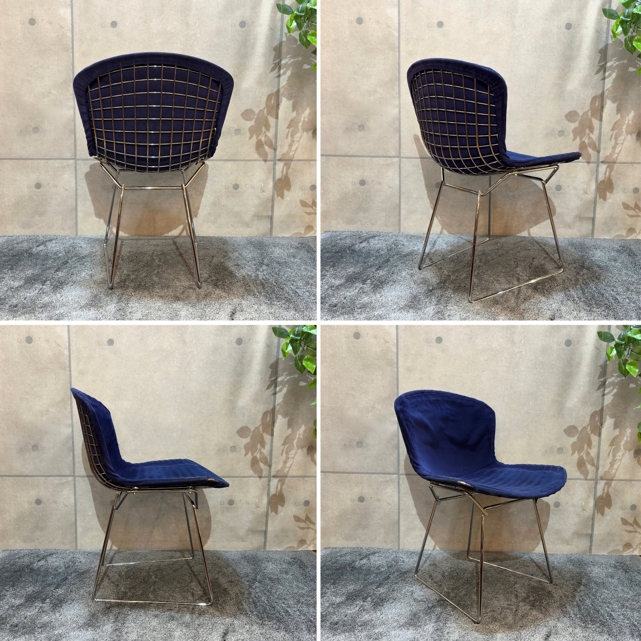 USED】Knoll ノール ハリー・ベルトイア サイドチェア Harry Bertoia