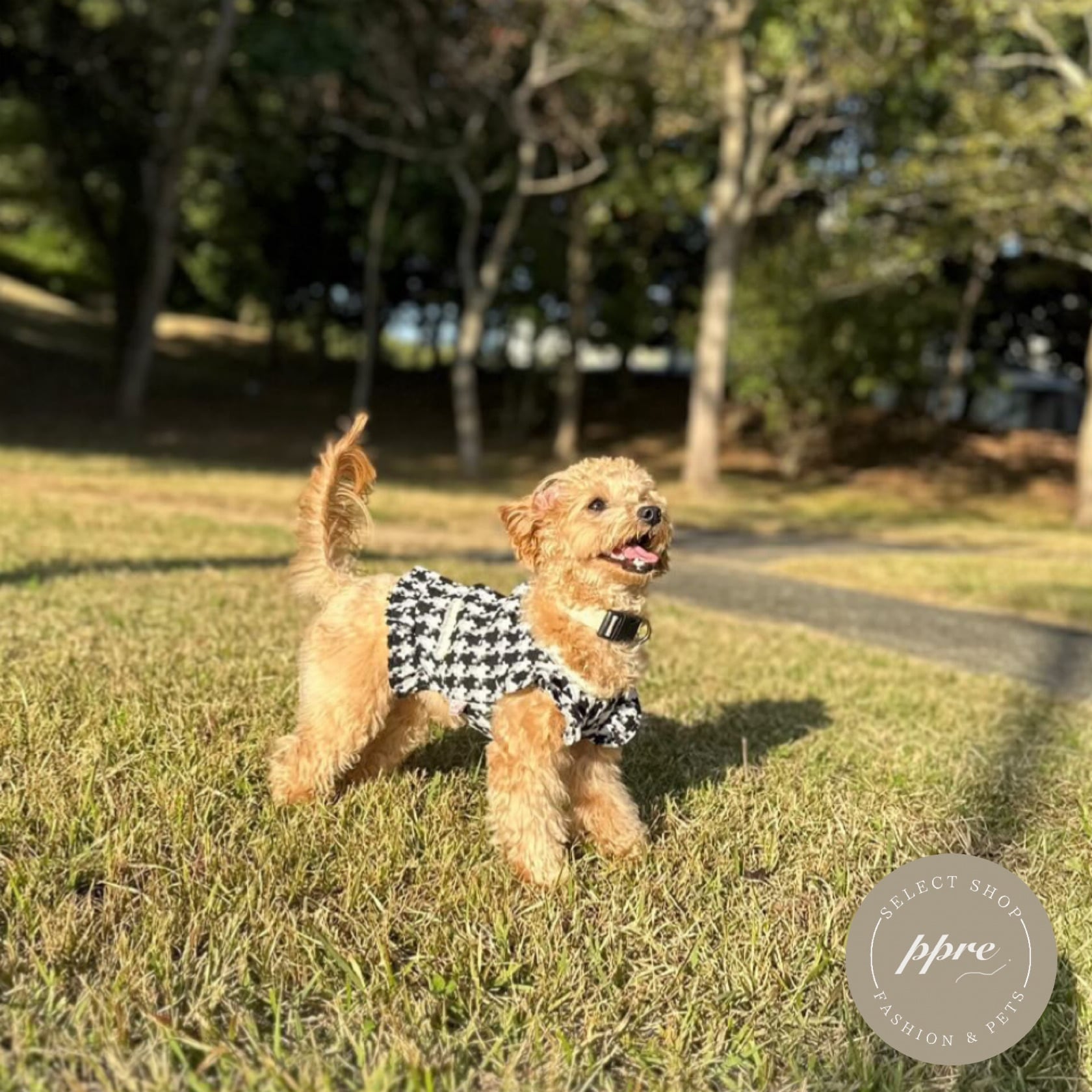 エレガント ツイード トップス 犬服 ドッグウエア 秋冬 千鳥柄 ボタン