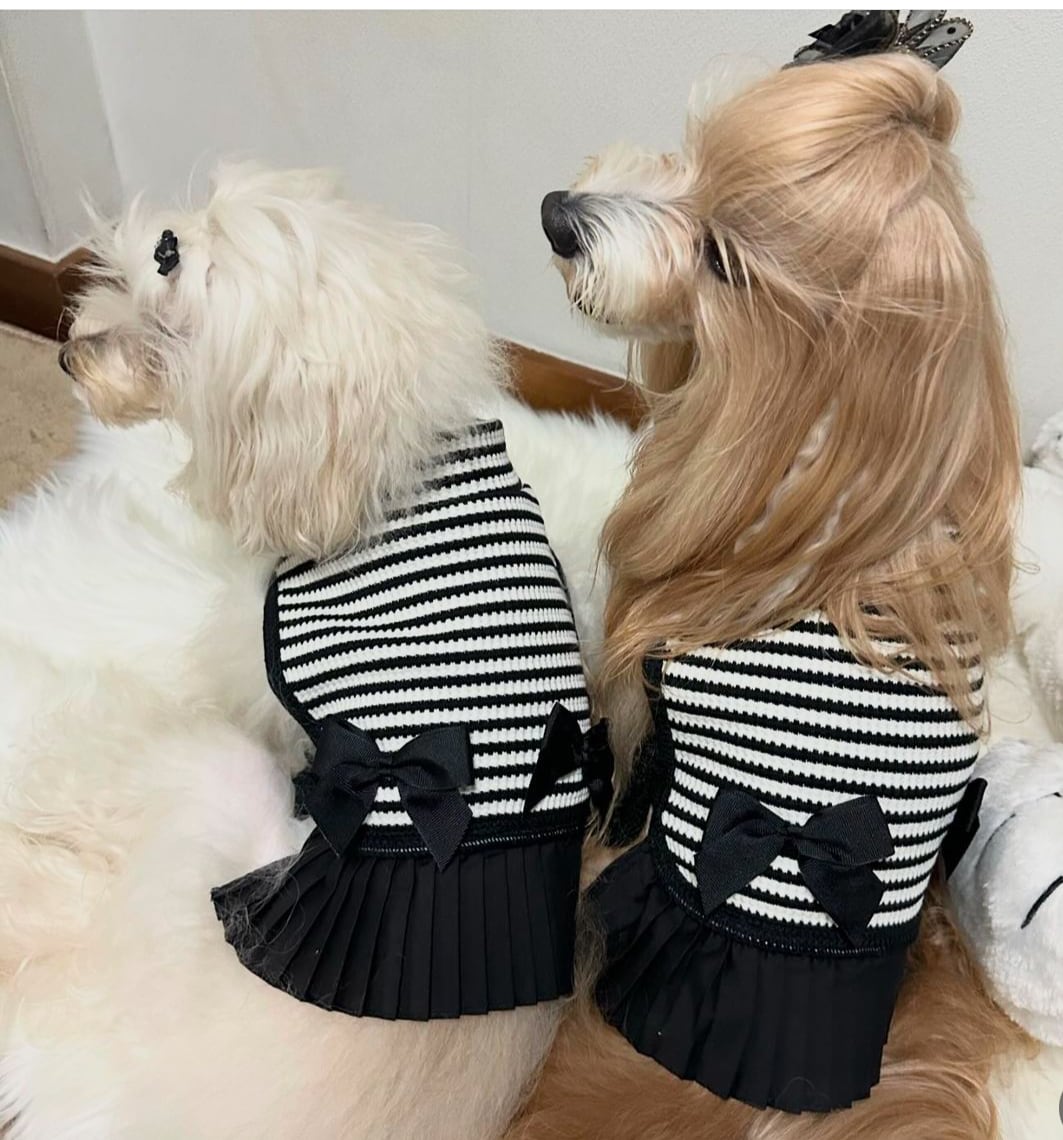 即納販売 Belle One Piece [montie] 韓国犬服 | Hirokke Atelier