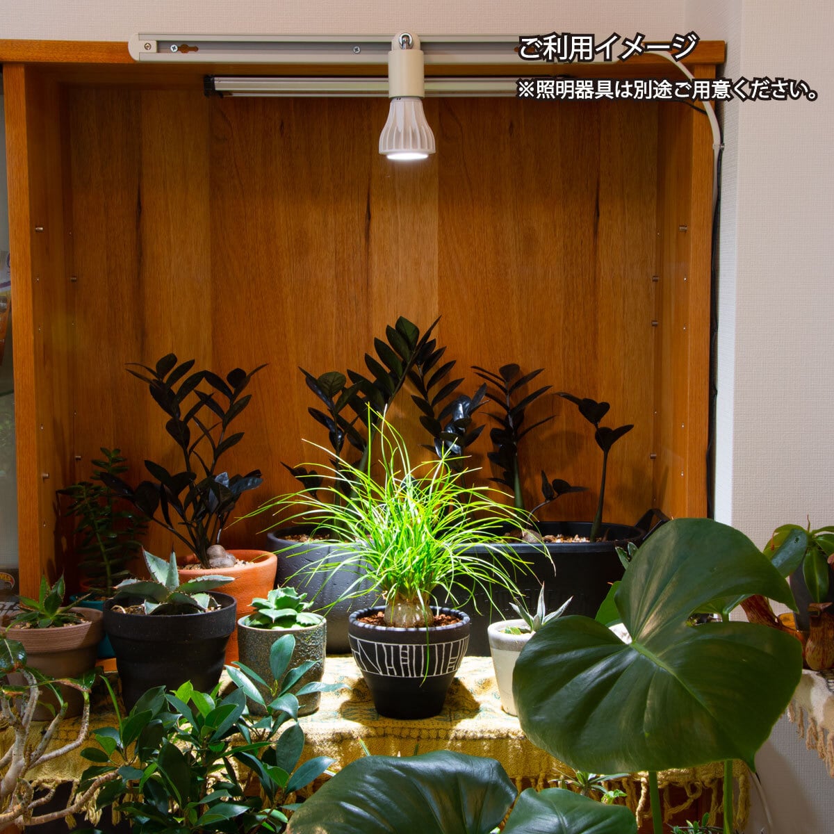 CHISPA 観葉植物育成LEDライト（LEDのみ） | CHISPA