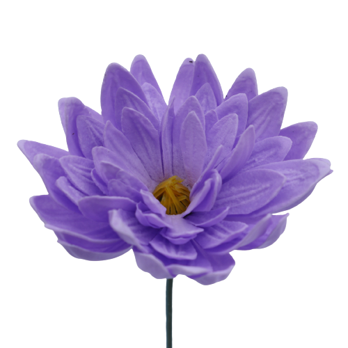 ダリアPU2 ライトバイオレット (15輪入りor25輪入り)