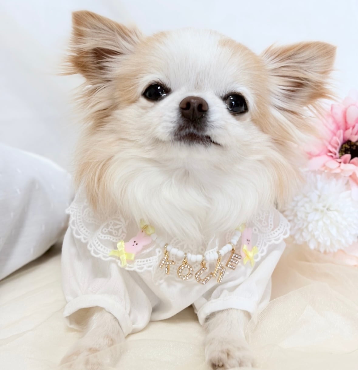 うさちゃんお名前ネックレス