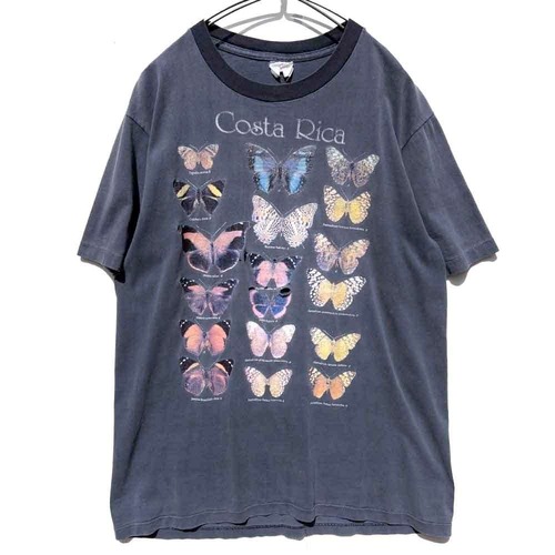 【Costa Rica Butterfly】Vintage Costa Rican Butterfly Art Souvenir T-Shirt【1990s-】Vintage Print T-Shirt