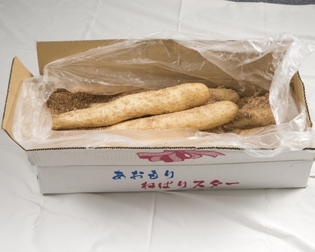 青森県六ヶ所産 ネバリスター5kg（送料無料）