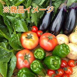 有機野菜セット【お得な7種】