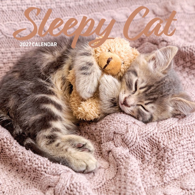 【2027年版】英国製カレンダー【Sleepy Cat】 2027年版