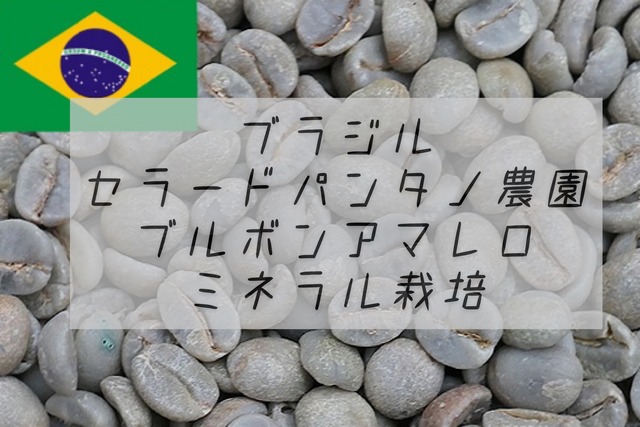 生豆｜ブラジル ブルボンアマレロ  500g