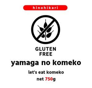 【山香のお米だけで作った】yamaga no komeko（750g）