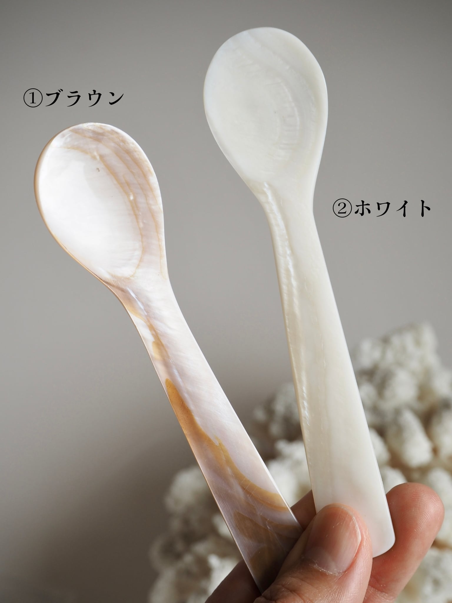 真珠貝のスプーン | 貝殻と人魚｜貝殻アクセサリー